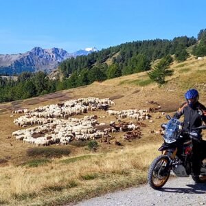 06657b75-5fc8-4a9c-a852-07b52d97b259