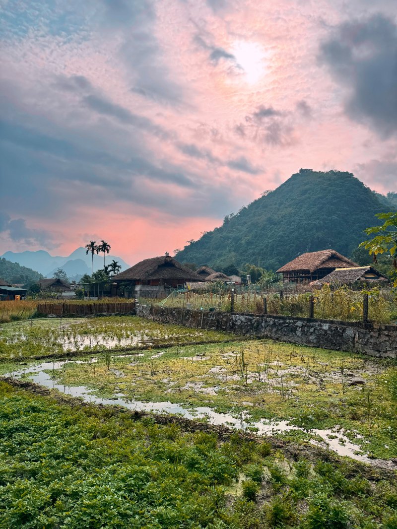 Vietnam novembre 2025 (14) low