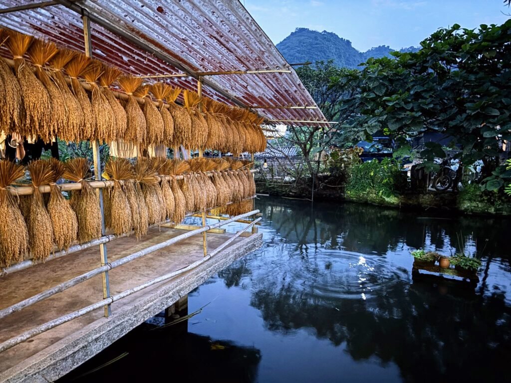 Voyage moto Vietnam