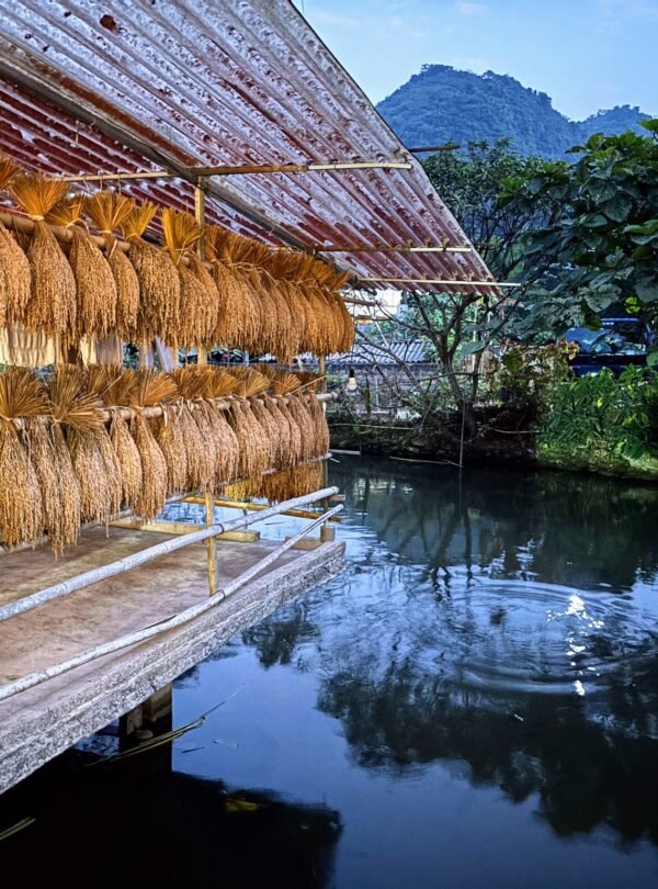 Voyage moto Vietnam
