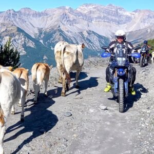 a3e9a5b9-b9bd-431d-ad83-742e5cdbbc10