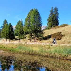 ecc0e3fd-0585-4baf-80f5-386b5625e58a