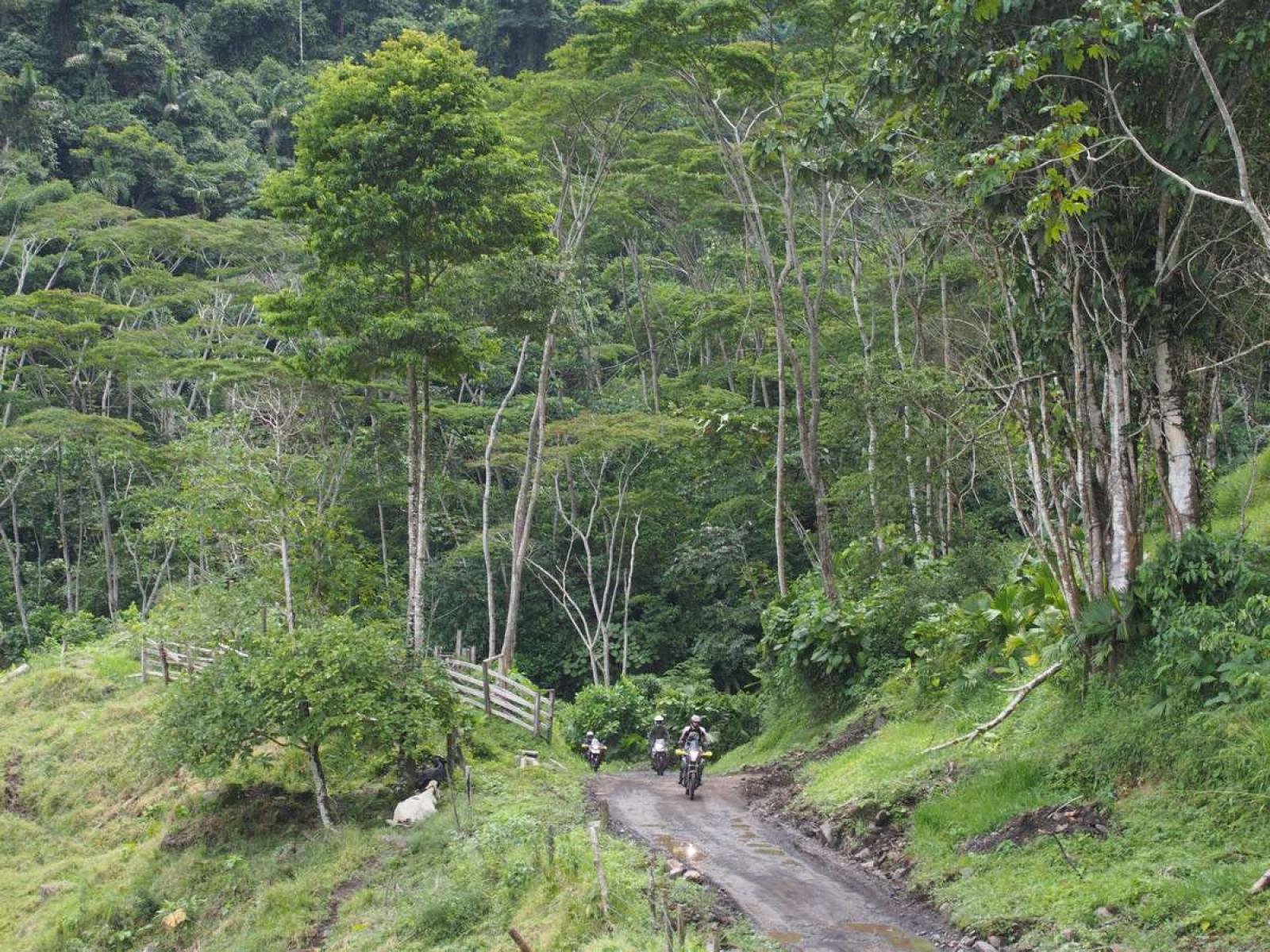 2262_Colombie (53)