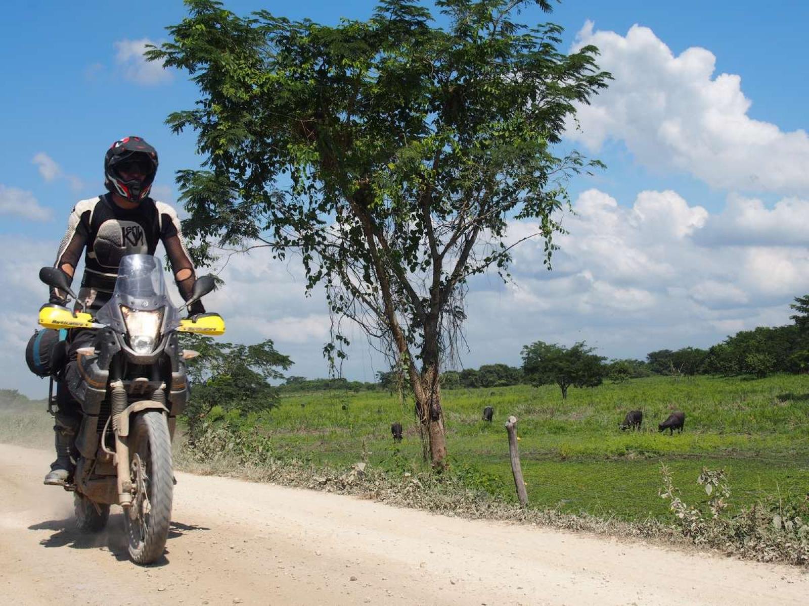2336_Colombie (129)
