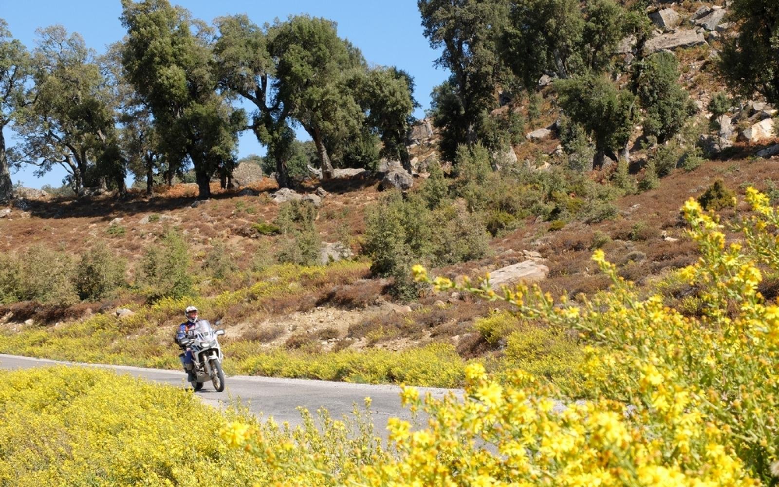 5096_Maroc Maxitrail (18)