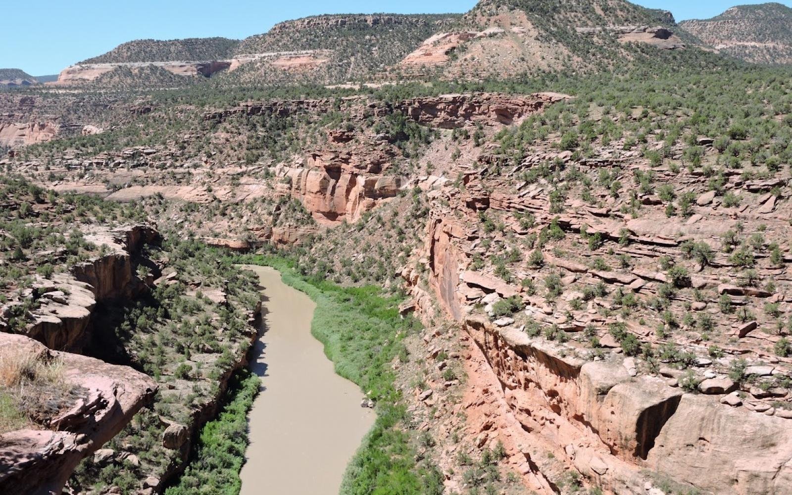 5351_Etats Unis (5)