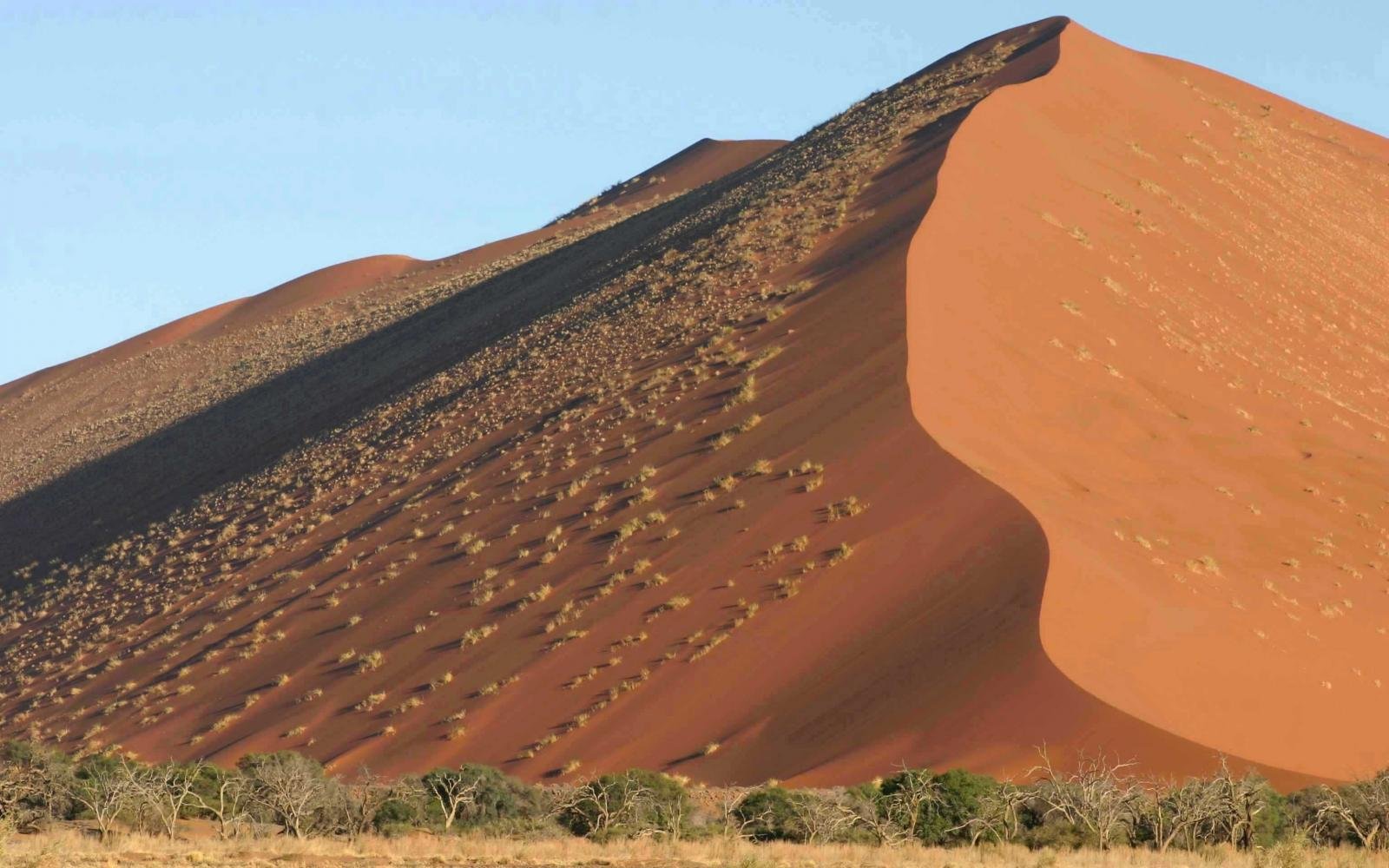 5676_NAMIBIE (7)