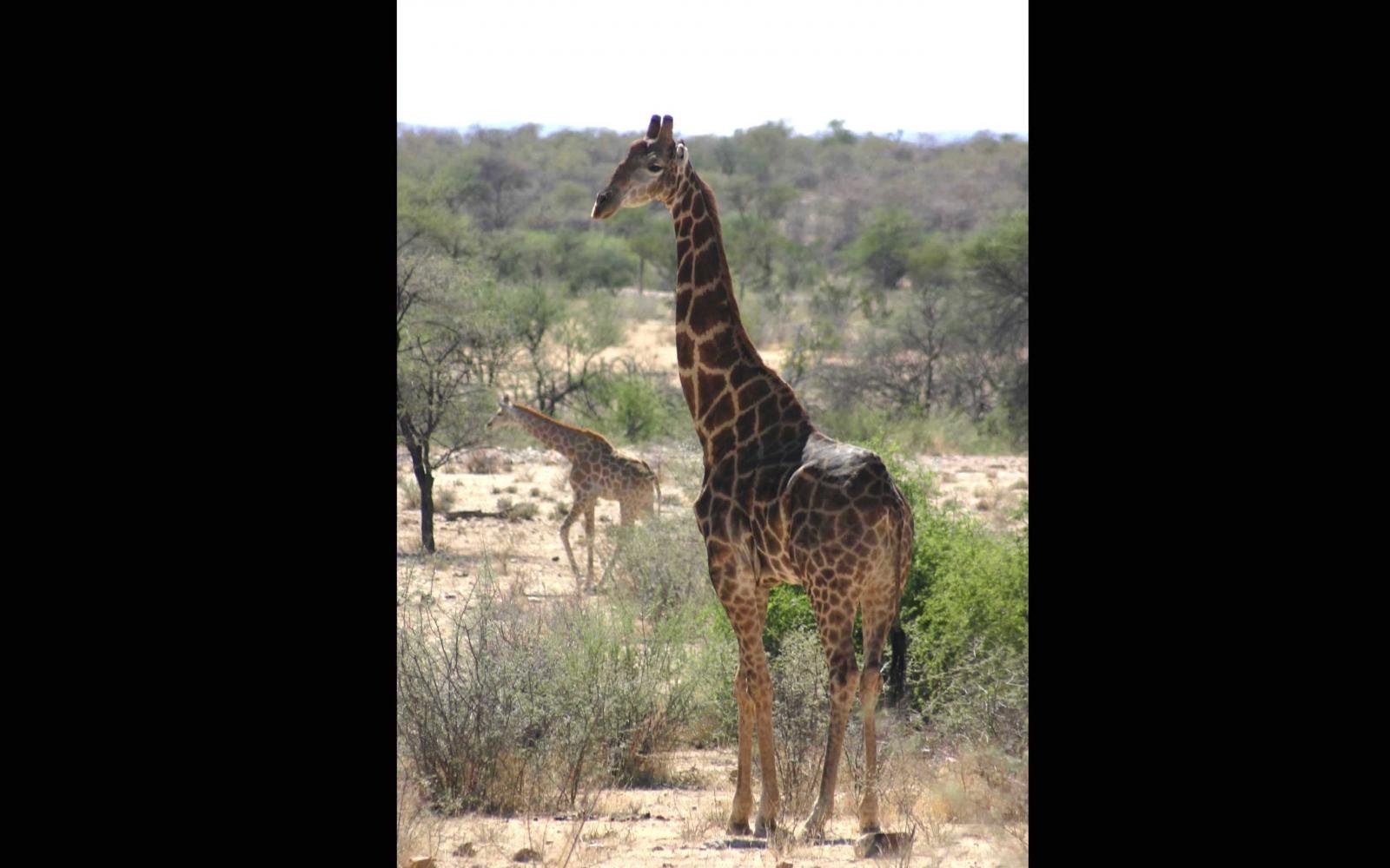 5686_NAMIBIE (17)