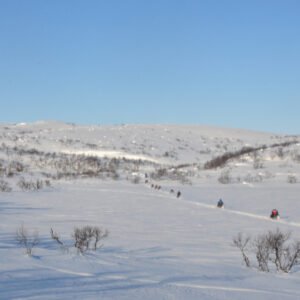 Trail-Rando 2023-1 (25) – small