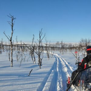 Trail-Rando 2023-1 (48) – small