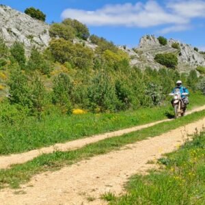 656f9460-b066-41de-bff3-15e5470536bd