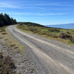 7b80de27-f68d-49dc-b993-e6b80c03987a