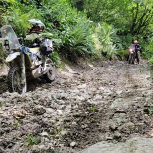 940c83d7-a50c-497a-a2fa-0960697d18ad