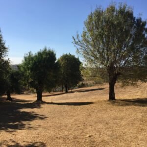 E23F56E5-7F39-419B-B42B-903047A8E942_1_105_c