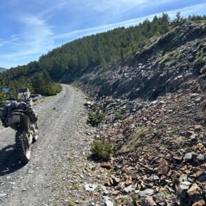 cd16b7ea-abb5-4a1e-a122-9b5bf74ee20f