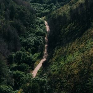 edgar-ZkyeFTaEBn8-unsplash