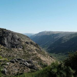 samuel-jeronimo-3MwRkl7itZk-unsplash